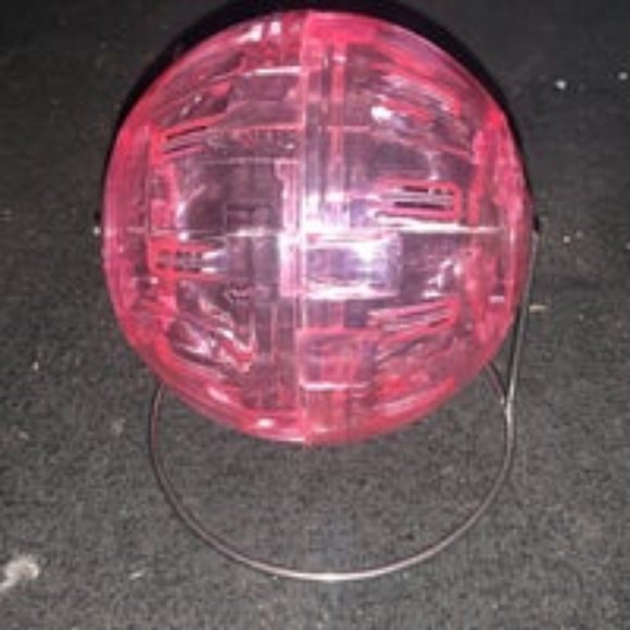 Other - Hamster ball